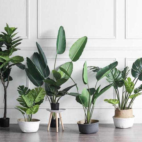 要想生活過得有質感，這幾樣東西必不可少